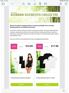 Bamboo