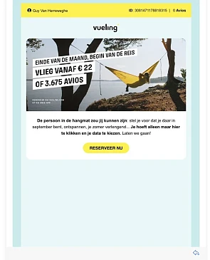 Vueling