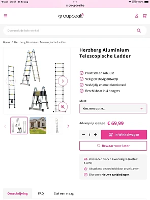 Telescopisch ladder