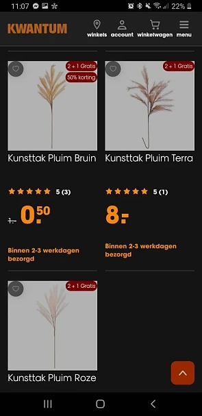 Droogbloemen kwantum