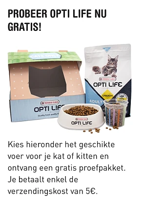 Image of best-life