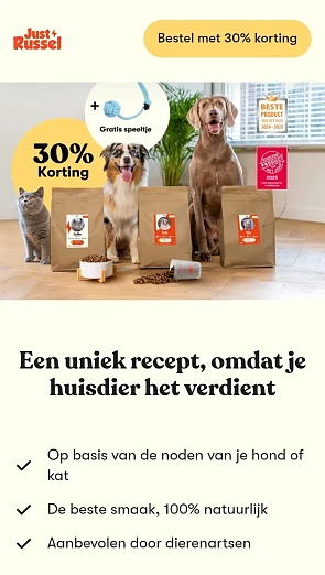 30% korting + gratis speelgoedje