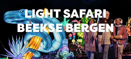 Light safari