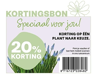Korting Abies