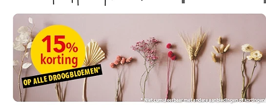 -15% op droogbloemen bij Pelckmans