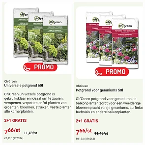 Bloemen en planten promoties Oh'Green