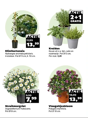Tuincentrum Meijers tuin promoties