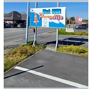 Uitverkoop speciaalzaak Koi Paradijs Harelbeke