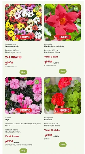 Oh'Green bloemen en planten promoties