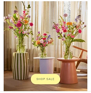 10% korting bij Bloomon