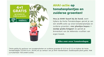 4+1 op tomatenplanten en zuiderse groenten bij horta