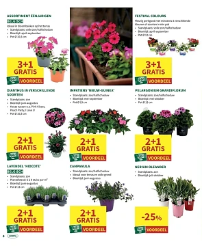 Bloemen promoties Horta