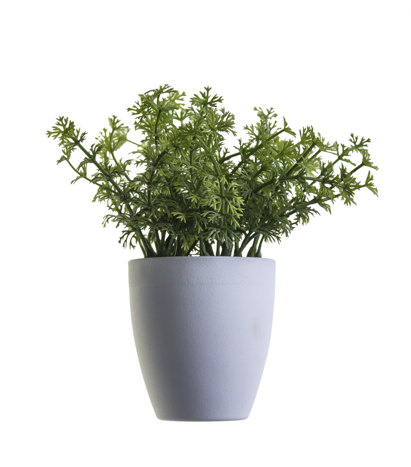 Image of bloempot
